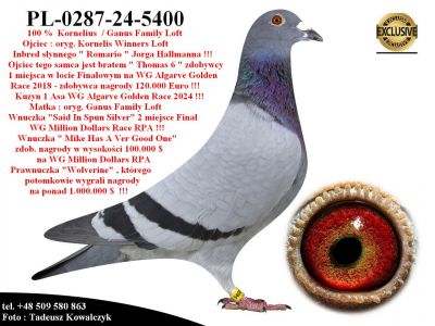 PL-0287-24-5400   Mega połączenie linii 