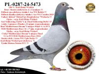 PL-0287-24-5473   Mega Inbred 