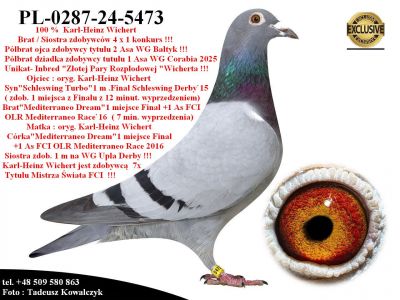 PL-0287-24-5473   Mega Inbred 