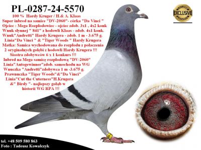 PL-0287-24-5570   Mega inbred 