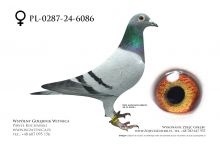 PL-0287-24-6086: Andrzej Jabkowski