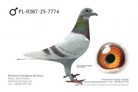 PL-0287-25-7774: G Fornalkiewicz