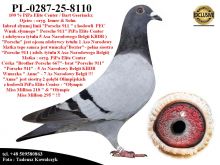 PL-0287-25-8110  Mega połączenie linii Bart Geerinckx / 