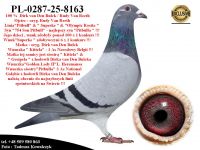 PL-0287-25-8163   Rewelacyjne połączenie linii 