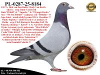 PL-0287-25-8184   Mega połączenie linii 