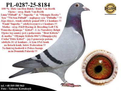 PL-0287-25-8184   Mega połączenie linii 