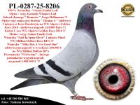 PL-0287-25-8206  Rewelacyjne połączenie linii