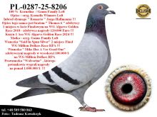 PL-0287-25-8206  Rewelacyjne połączenie linii