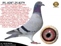 PL-0287-25-8379  Połączenie Wnuk