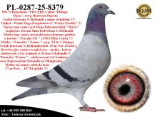 PL-0287-25-8379  Połączenie Wnuk