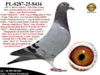 PL-0287-25-8416  Rewelacyjne połączenie linii Barta Geerinckxa & 