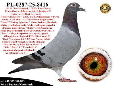 PL-0287-25-8416  Rewelacyjne połączenie linii Barta Geerinckxa & 