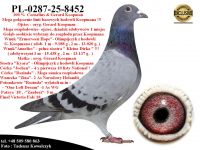 PL-0287-25-8452   Potomek 2 oryginalnych gołębi z hodowli  Gerarda Koopmana