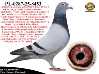 PL-0287-25-8453   Połączenie najlepszych gołębi z hodowli W.& F. Ebben