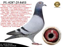 PL-0287-25-8453   Połączenie najlepszych gołębi z hodowli W.& F. Ebben
