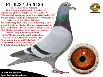 PL-0287-25-8483   Unikat - Super inbred 