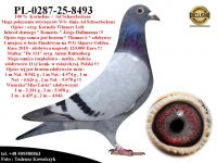 PL-0287-25-8493   Połączenie linii 