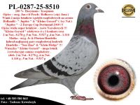 PL-0287-25-8510   Super Inbred 