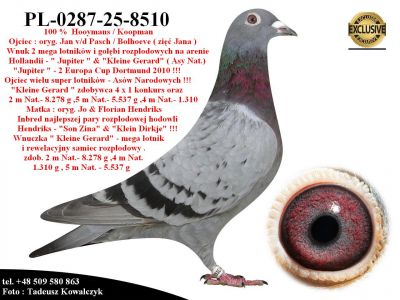 PL-0287-25-8510   Super Inbred 