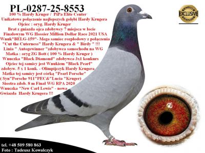 PL-0287-25-8553   Połączenie najlepszych linii hodowlanych gołębnika Hardy Krugera