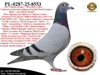 PL-0287-25-8553   Połączenie najlepszych linii hodowlanych gołębnika Hardy Krugera