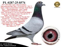 PL-0287-25-8576  Mega połączenie gołębi z hodowli Bart Geerinckx &PiPa Elite Center