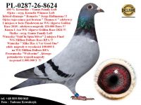 PL-0287-26-8624   Mega połączenie linii 