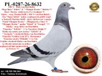 PL-0287-26-8632   Kuzyn 