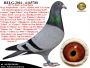 PL-0287-26-8632   Kuzyn 