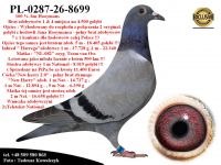 PL-0287-26-8699  Rewelacyjne połączenie najlepszych gołębi z hodowli Hooymans