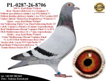 PL-0287-26-8706   Rodzeństwo ojca 2 Asa WG Bałtyk & dziadka 1 Asa WG Corabia