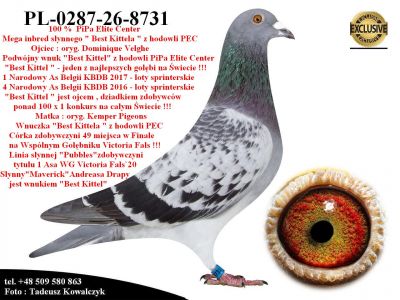 PL-0287-26-8731   Mega Inbred słynnego 