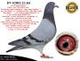 PL-0287-26-8731   Mega Inbred słynnego 