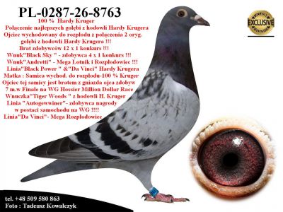 PL-0287-26-8763  Mega połączenie linii bazowej hodowli Hardy Krugera