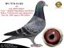 PL-0287-26-8763  Mega połączenie linii bazowej hodowli Hardy Krugera