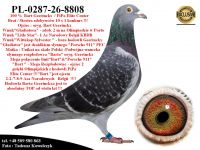 PL-0287-26-8808   Unikat - Połączenie najlepszych gołebi z hodowli Barta Geerinckxa