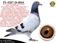 PL-0287-26-8844  Mega połączenie linii 