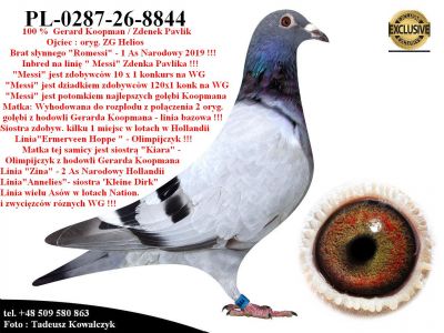 PL-0287-26-8844  Mega połączenie linii 