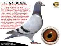 PL-0287-26-8898   Unikatowe połączenie linii 