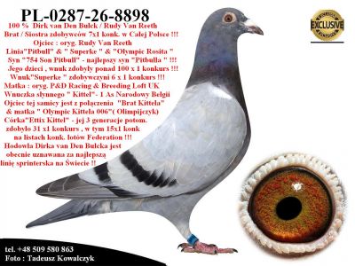 PL-0287-26-8898   Unikatowe połączenie linii 
