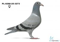 PL-0288-25-3273 