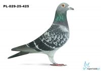 PL-029-25-425 5. OKRĘG BIELSKO BIAŁA