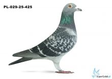 PL-029-25-425 5. OKRĘG BIELSKO BIAŁA