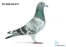 PL-029-25-511 5. OKRĘG BIELSKO BIAŁA