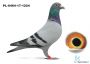 PL-0290-21-1385 + gratis PL-0464-17-1224