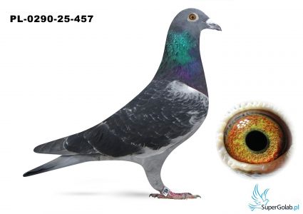 PL-0290-25-457