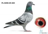PL-0290-25-483