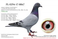PL-0294-17-8067