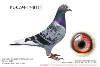 PL-0294-17-8144