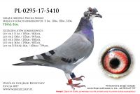 PL-0295-17-5410